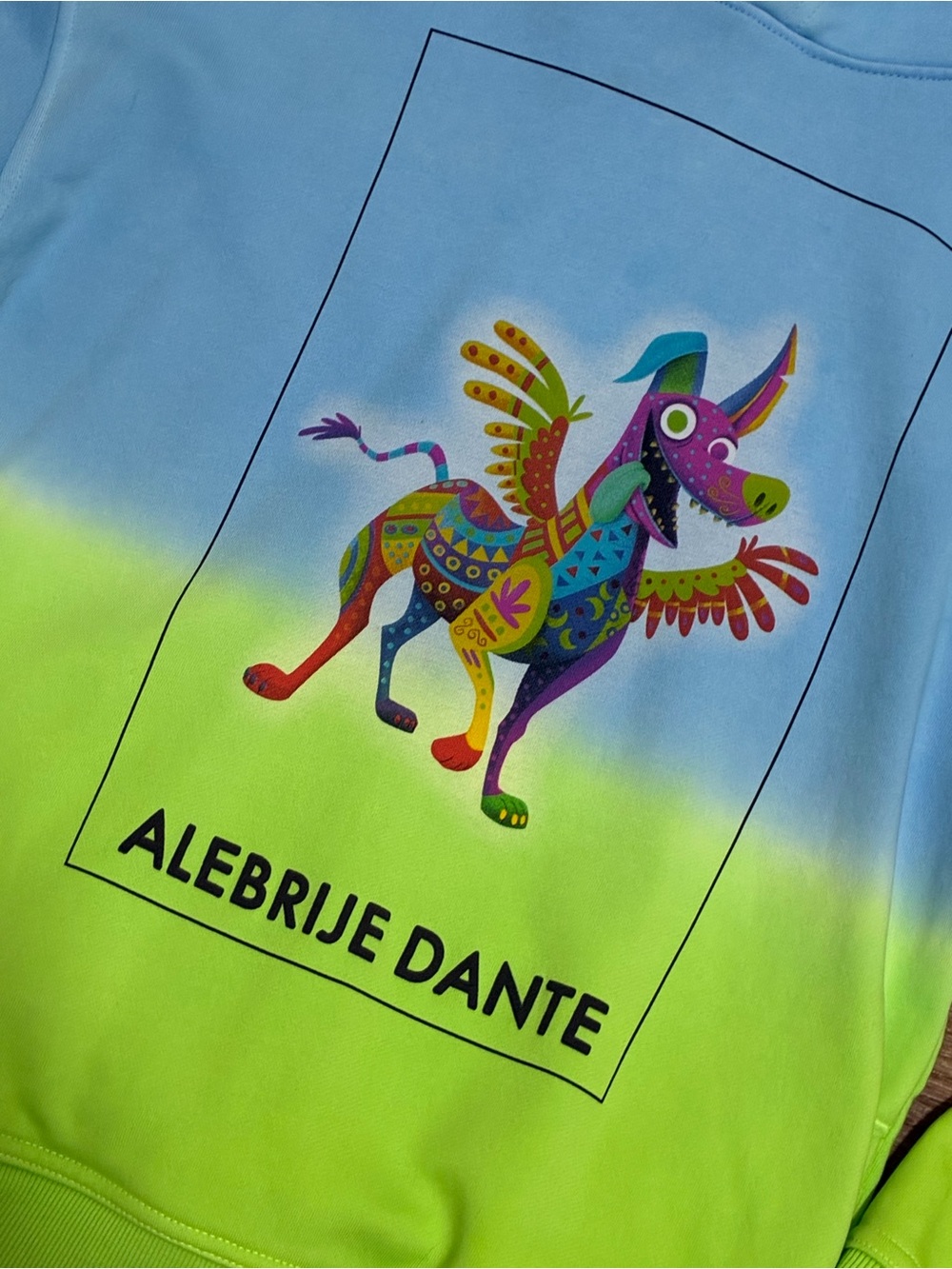 Disney Coco Alebrije Dante Hoodie Kids 9 10 Blue Green Ombre Sweater Boys Girls - Picture 5 of 7